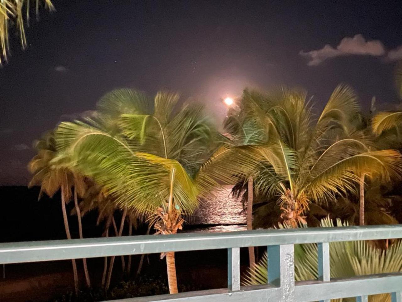 Beachfront Luxury 2 Bedroom At Wyndham Rio Mar, Pr Luquillo Eksteriør billede