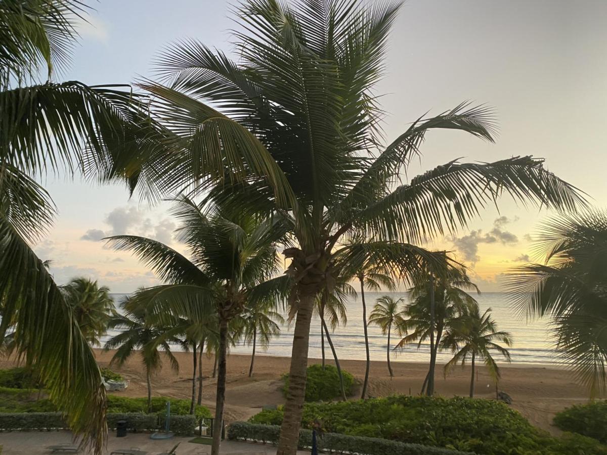 Beachfront Luxury 2 Bedroom At Wyndham Rio Mar, Pr Luquillo Eksteriør billede