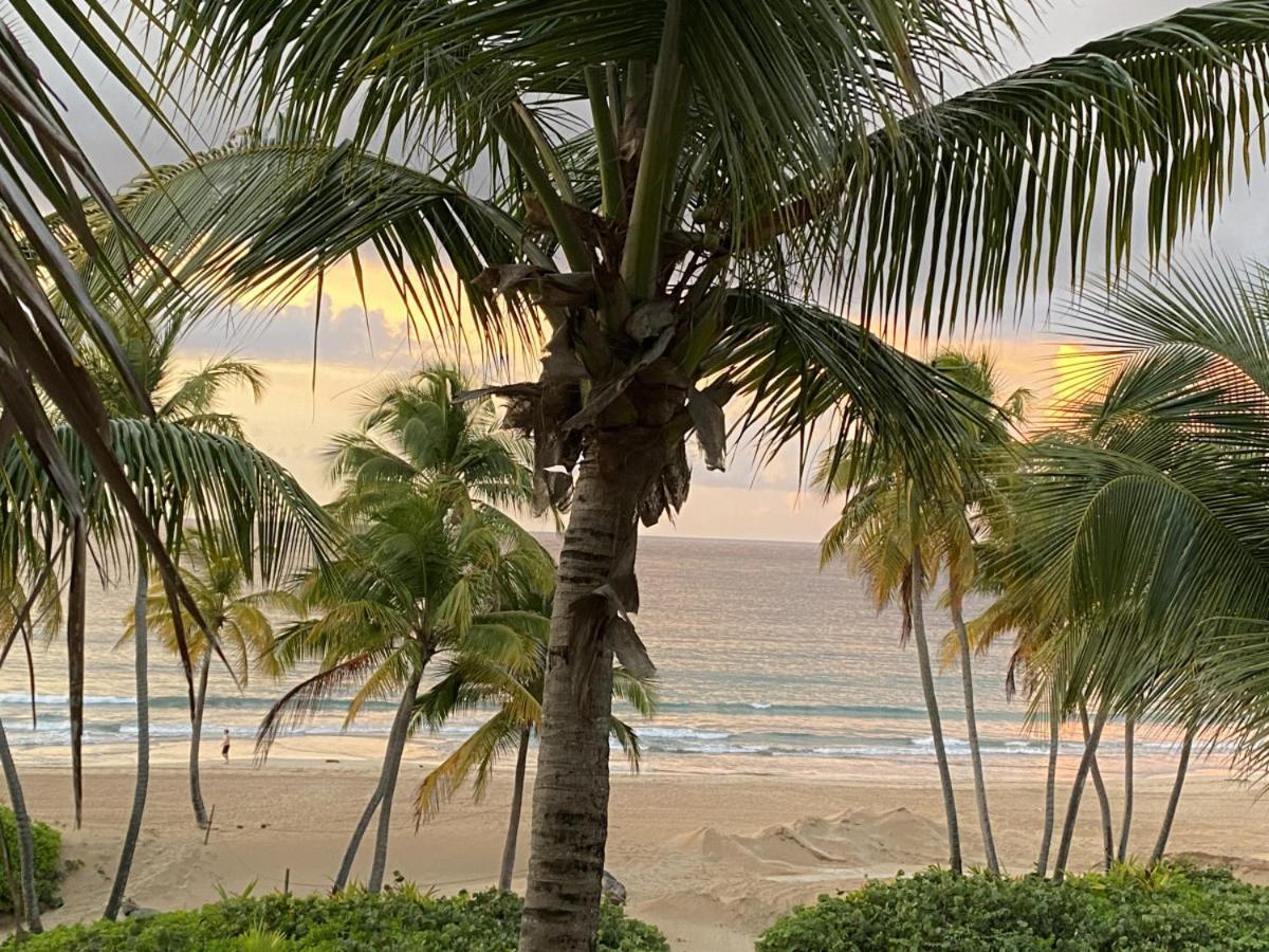 Beachfront Luxury 2 Bedroom At Wyndham Rio Mar, Pr Luquillo Eksteriør billede